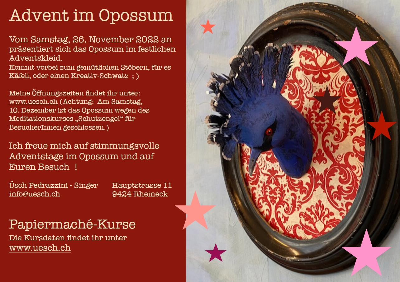 2022 advent im opossum
