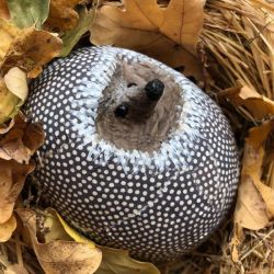 Papiermaché Igel