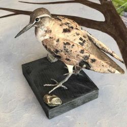 Papiermaché Limikole