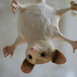 Papiermaché Opossum