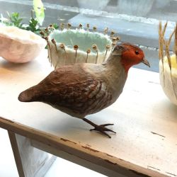 Papiermaché Rebhuhn