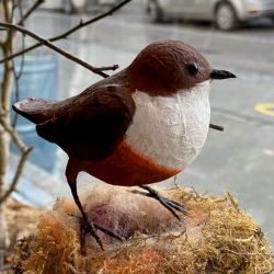 Papiermaché Wasseramsel