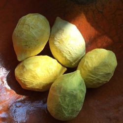 Papiermaché Zitronen