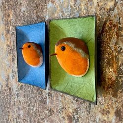 Rotkehlchen Seelenvogel