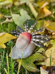 Krafttier Buntspecht