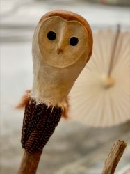 Krafttier Schleiereule