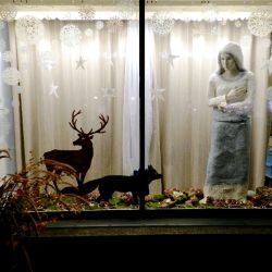 Opossum_Schaufenster