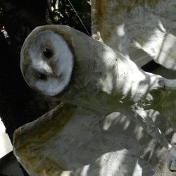 Papiermaché_Eule