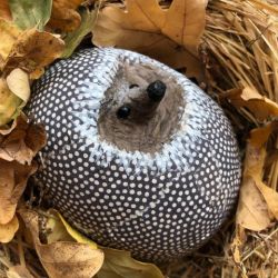 Papiermaché_Igel