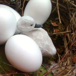 Papiermaché_Schwanküken